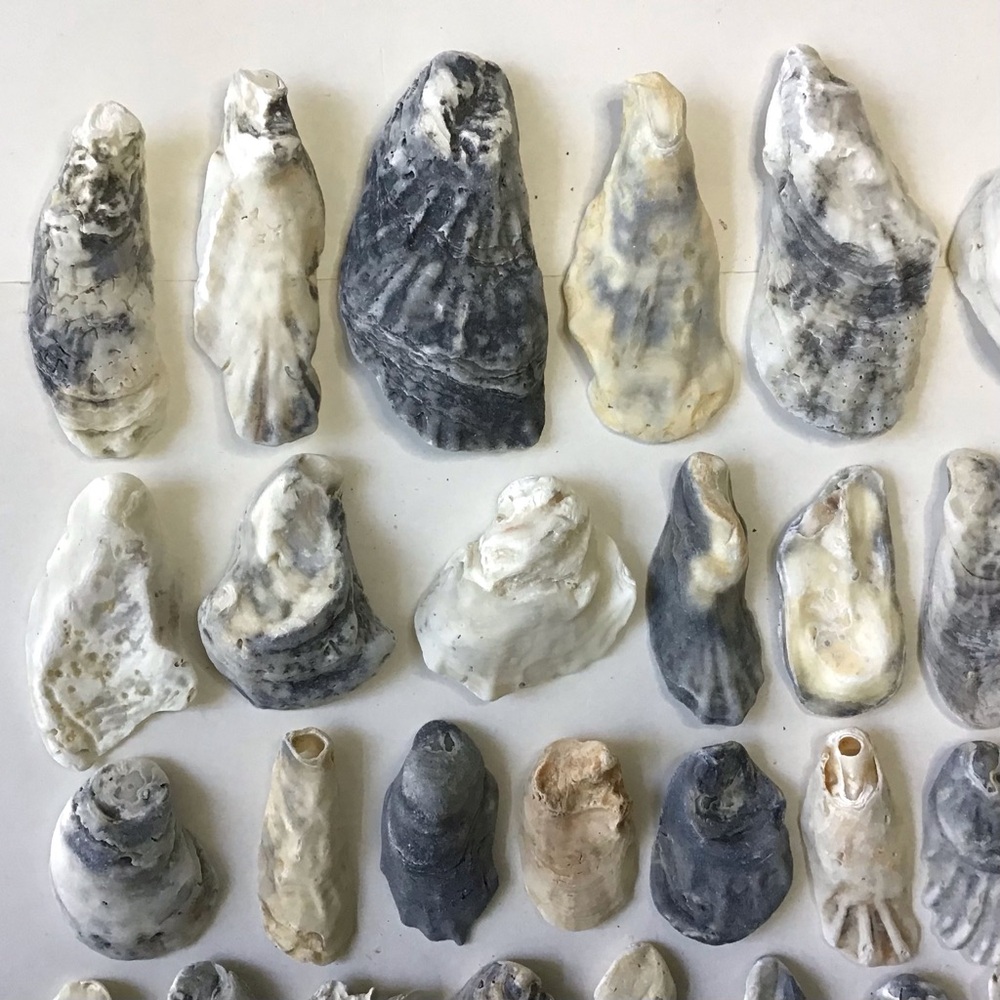 Seashells 50 Oyster Shells 1-1/2” to 4-1/2” For Arts, Crafts, Beach Decor - Picture 2 of 6